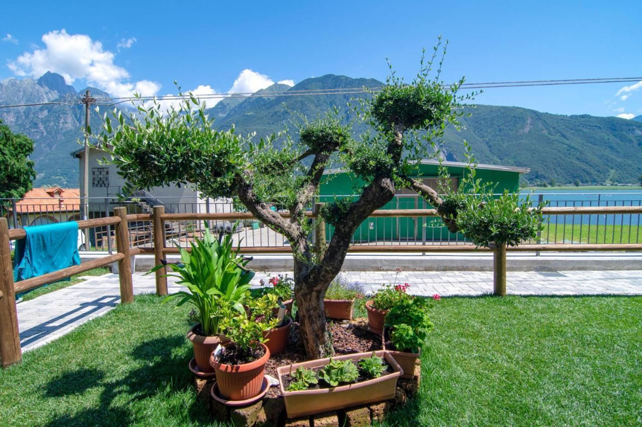 Dascio Emotion Ferienwohnung Mit Terrasse Am See Dış mekan fotoğraf