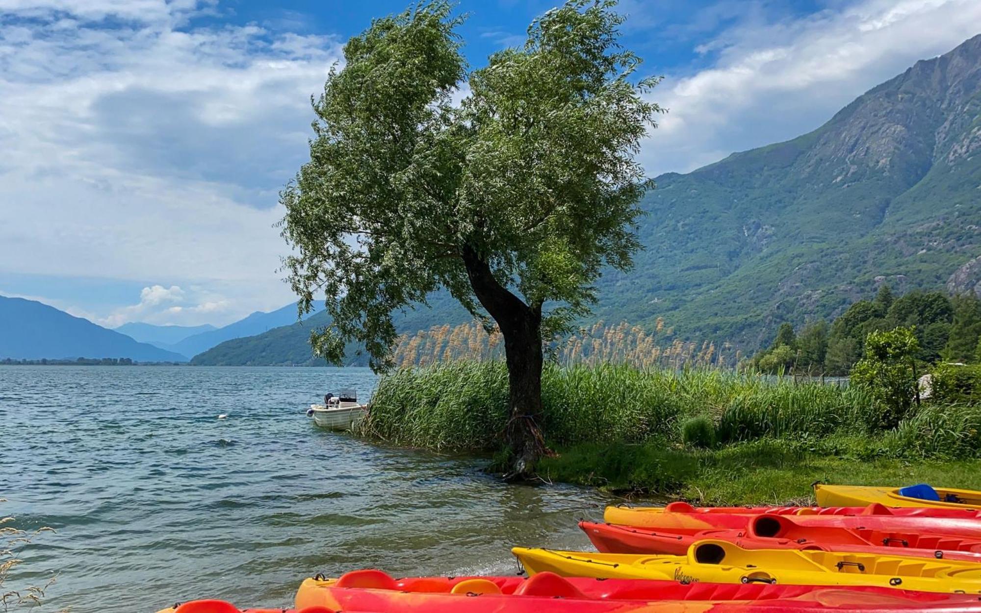 Dascio Emotion Ferienwohnung Mit Terrasse Am See Dış mekan fotoğraf